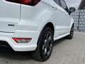 Ford EcoSport ST-Line *TOP Zustand *Zahnriemen neu* Blanc - thumbnail 11