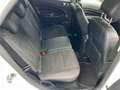 Ford EcoSport ST-Line *TOP Zustand *Zahnriemen neu* Blanc - thumbnail 20