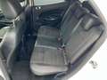 Ford EcoSport ST-Line *TOP Zustand *Zahnriemen neu* Blanc - thumbnail 21