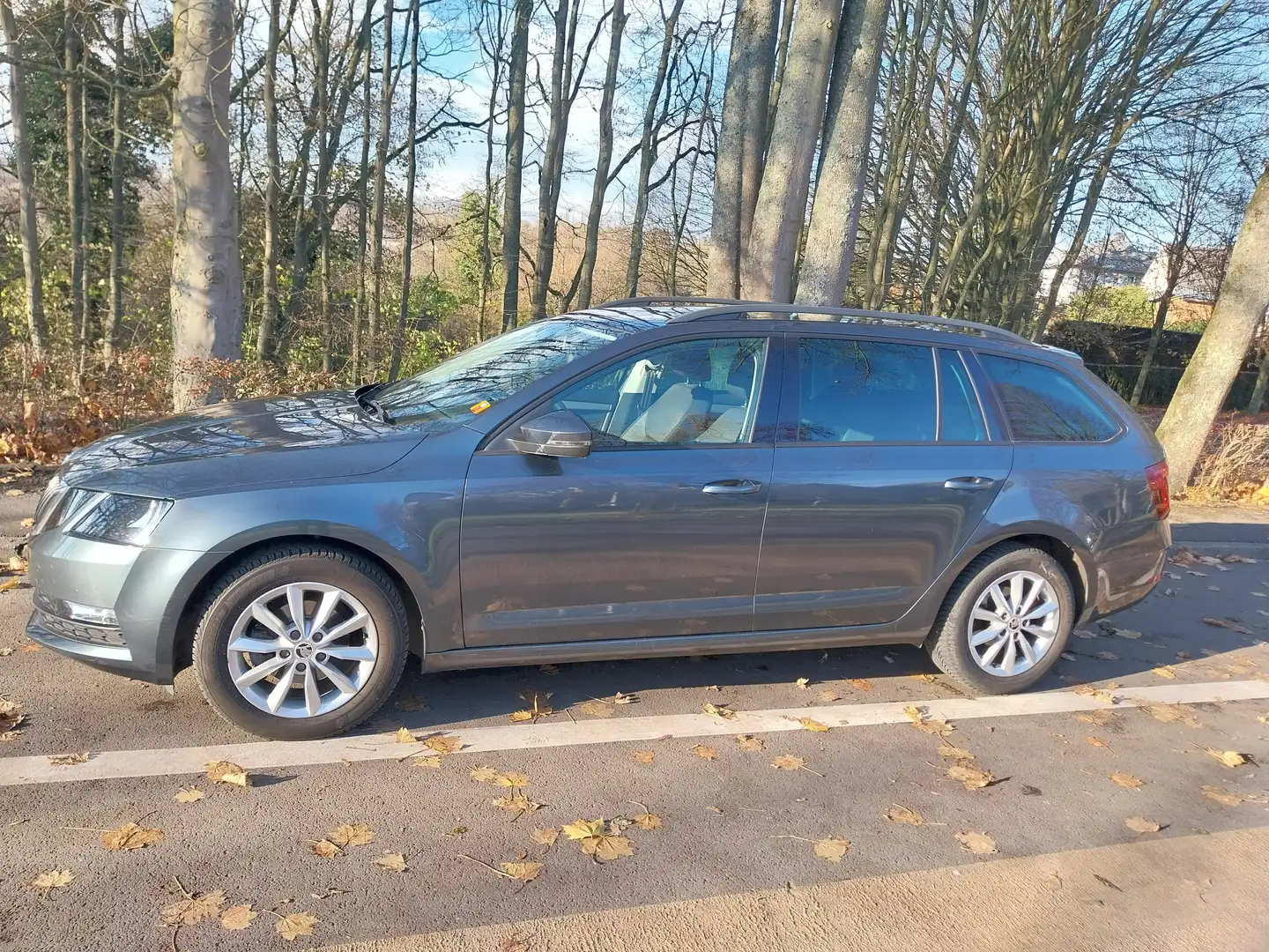 Skoda Octavia Octavia SW 1.6 CR TDi Ambition (EU6.2) Gris - 2