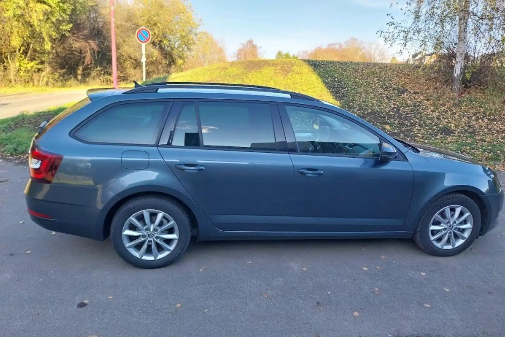 Skoda Octavia Octavia SW 1.6 CR TDi Ambition (EU6.2) Gris - 1