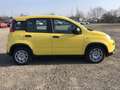 Fiat Panda MY24 1.0 Klima PDC Citypaket Gelb - thumbnail 3