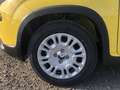 Fiat Panda MY24 1.0 Klima PDC Citypaket Gelb - thumbnail 6