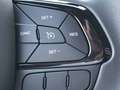 Fiat Panda MY24 1.0 Klima PDC Citypaket Gelb - thumbnail 16