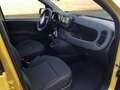 Fiat Panda MY24 1.0 Klima PDC Citypaket Gelb - thumbnail 7