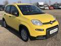Fiat Panda MY24 1.0 Klima PDC Citypaket Gelb - thumbnail 2