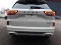 Ford Kuga 2.5l PHEV Sound Edition Navi SHZ Panorama Weiß - thumbnail 11