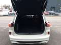 Ford Kuga 2.5l PHEV Sound Edition Navi SHZ Panorama Weiß - thumbnail 8
