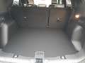 Ford Kuga 2.5l PHEV Sound Edition Navi SHZ Panorama Weiß - thumbnail 9