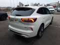 Ford Kuga 2.5l PHEV Sound Edition Navi SHZ Panorama Weiß - thumbnail 4