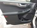 Ford Kuga 2.5l PHEV Sound Edition Navi SHZ Panorama Weiß - thumbnail 12