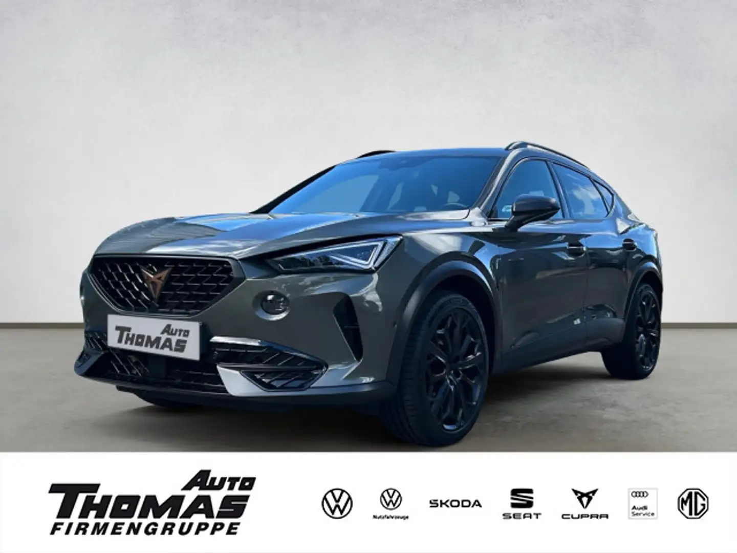 CUPRA Formentor VZ Tribe Edition 2.0TSI DSG 245PS Blau - 1