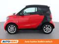 smart forTwo 1.0 Basis passion Rot - thumbnail 3