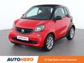 smart forTwo 1.0 Basis passion Rot - thumbnail 1