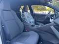 Toyota C-HR 1.8“NEW MODEL” 140cv“NUOVA“ Bianco - thumbnail 11