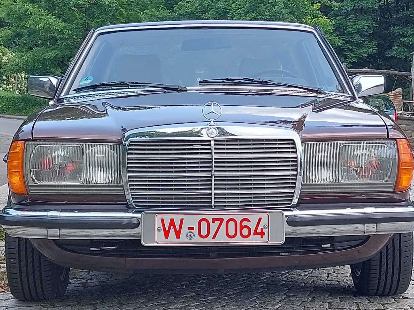 Mercedes-Benz CE 230 Baureihe 123 smeđa - 2
