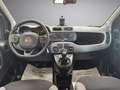Fiat Panda Panda III 2021 1.0 firefly hybrid City Life s Blanc - thumbnail 14
