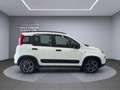 Fiat Panda Panda III 2021 1.0 firefly hybrid City Life s Blanc - thumbnail 7