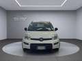 Fiat Panda Panda III 2021 1.0 firefly hybrid City Life s Blanc - thumbnail 2