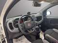 Fiat Panda Panda III 2021 1.0 firefly hybrid City Life s Blanc - thumbnail 10