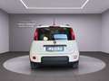 Fiat Panda Panda III 2021 1.0 firefly hybrid City Life s Blanc - thumbnail 5