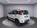 Fiat Panda Panda III 2021 1.0 firefly hybrid City Life s Blanc - thumbnail 4