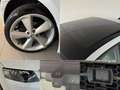 Skoda Octavia Lim. 1.6 TDI Elegance|PANO|ACC|MEMORY| Bianco - thumbnail 10