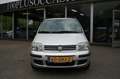 Fiat Panda 1.2 Edizione Cool. nieuwe distributieset incl. wat Argent - thumbnail 8