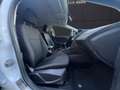Ford Focus Business 1.0 EcoBoost|WINTER PAKET|SYNC+++ Blanc - thumbnail 10