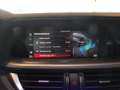 Alfa Romeo Stelvio 2.0 Turbo 280 CV AT8 Q4 Veloce Blu/Azzurro - thumbnail 22