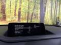 Mazda CX-30 2.0 e-SkyActiv-G M Hybrid Homura Automaat Head Up Zwart - thumbnail 23