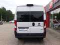 Fiat Ducato L2H2*9-Sitzer*Navi*Kamera*Klima*MwSt Bílá - thumbnail 4