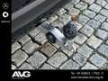 Mercedes-Benz GLS 450 GLS 450 d 4M AMG Premium+ Pano HuD AHK Massage LED Schwarz - thumbnail 30