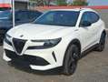 Alfa Romeo Junior Junior 1.2 ibrida Speciale 145cv edct6 Bianco - thumbnail 1