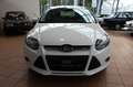 Ford Focus Lim. Champions Edition Weiß - thumbnail 1