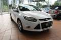 Ford Focus Lim. Champions Edition Weiß - thumbnail 8