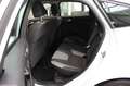 Ford Focus Lim. Champions Edition Weiß - thumbnail 13