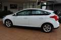 Ford Focus Lim. Champions Edition Weiß - thumbnail 3