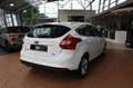 Ford Focus Lim. Champions Edition Weiß - thumbnail 6