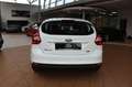 Ford Focus Lim. Champions Edition Weiß - thumbnail 5