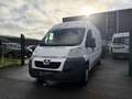 Peugeot Boxer Boxer Confort 333 L3H2 2.2 HDi - 110  III Blanc - thumbnail 1