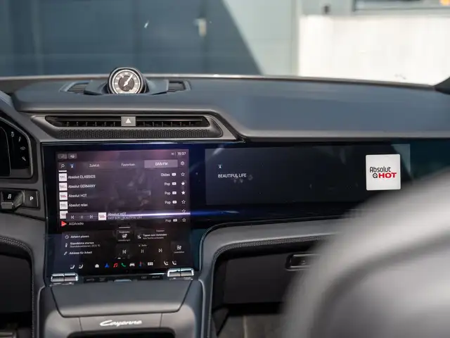 Porsche Cayenne Ansicht 19