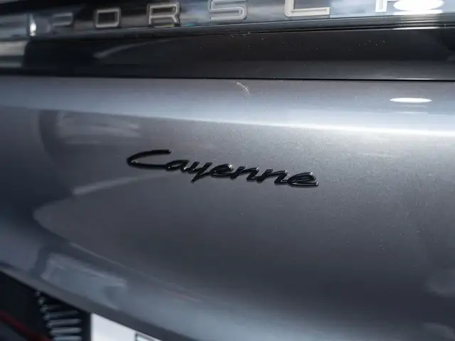 Porsche Cayenne Ansicht 22