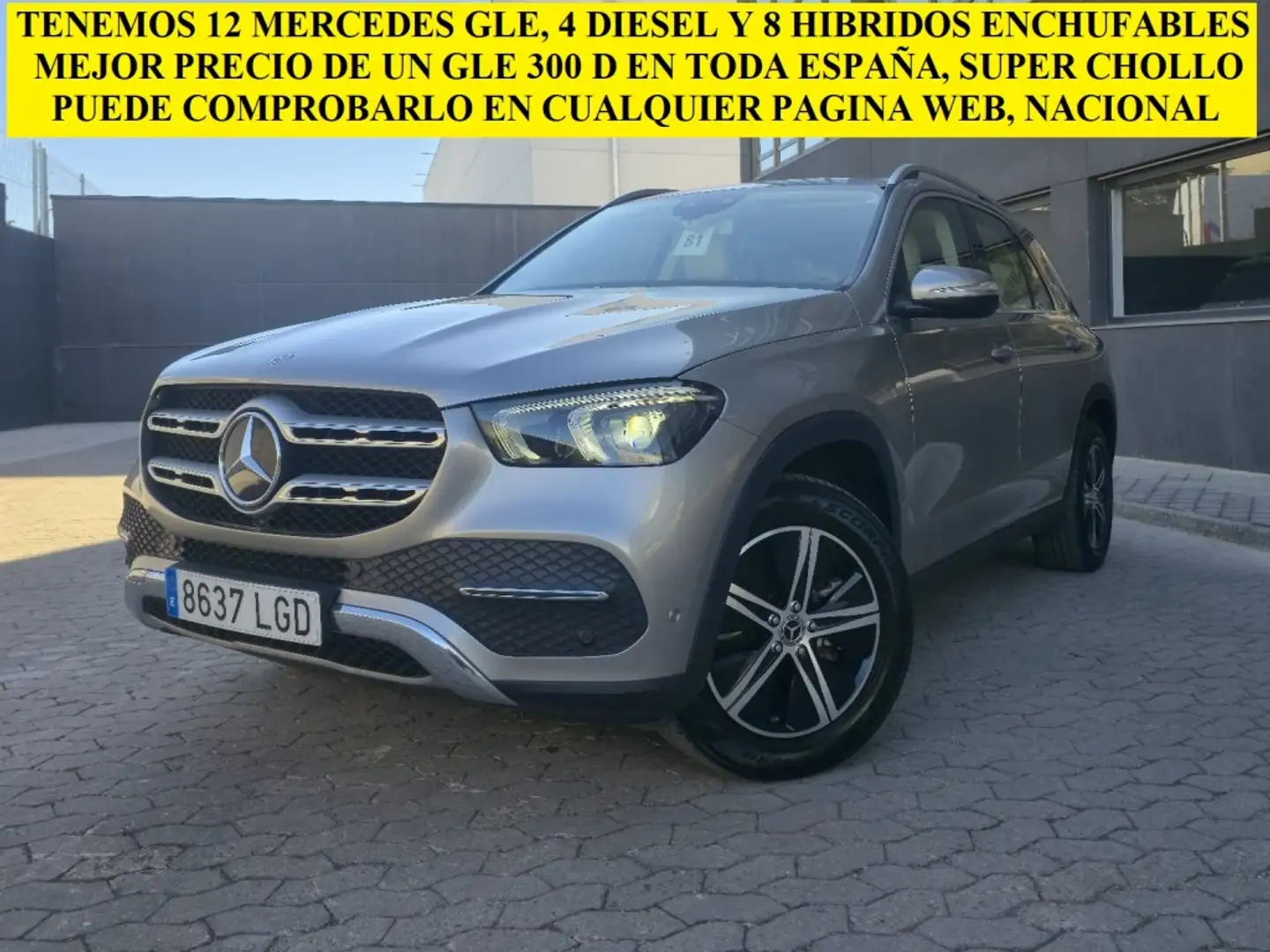 Mercedes-Benz GLE 300 300d 4Matic Aut. Gris - 1