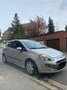 Fiat Punto Evo 1.3 MultiJet Dynamic Stop&Start DPF Gris - thumbnail 3
