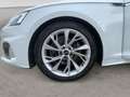 Audi A5 Sportback 35 TDI Advanced S tronic Weiß - thumbnail 6