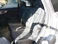 Audi Q7 50 TDI quattro Gris - thumbnail 11