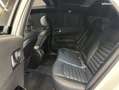Kia Optima SW 1.7 CRDI 141ch DCT GT-LINE PREMIUM Blanc - thumbnail 12