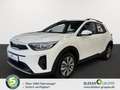 Kia Stonic 1.2 VISION STD Weiß - thumbnail 1