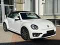 Volkswagen Maggiolino Cabrio 1.2 tsi sound 105cv Bianco - thumbnail 3